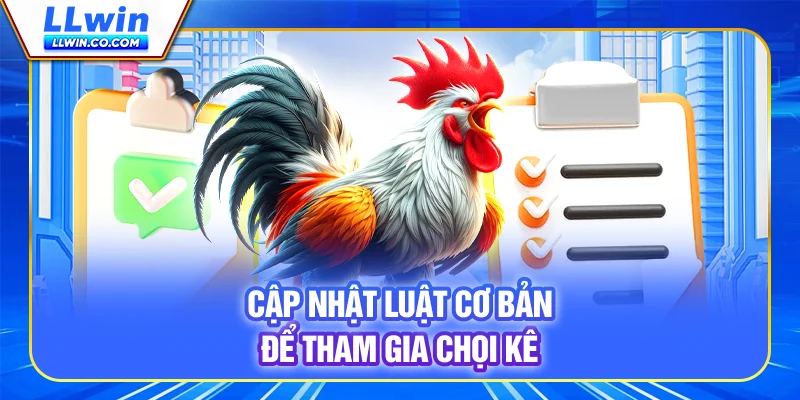 Đá Gà Thomo Kịch Tính, Cược Nhanh Nhận Thưởng LLWIN 4 Cập nhật luật cơ bản để tham gia chọi kê