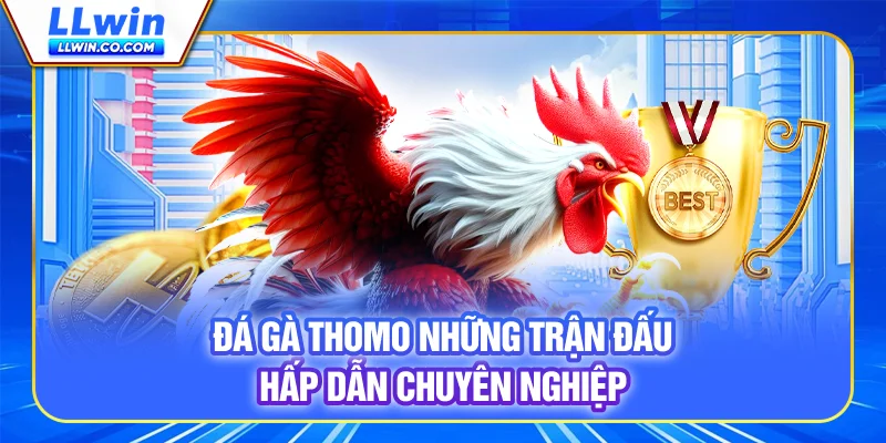 Đá Gà Thomo Kịch Tính, Cược Nhanh Nhận Thưởng LLWIN 2 Đá gà Thomo - Những trận đấu hấp dẫn, chuyên nghiệp