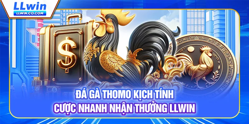 Đá Gà Thomo Kịch Tính, Cược Nhanh Nhận Thưởng LLWIN 7 Đá Gà Thomo Kịch Tính, Cược Nhanh Nhận Thưởng LLWIN